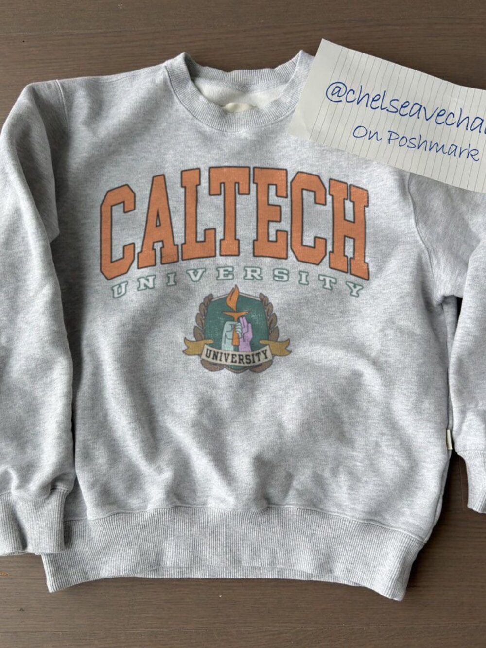 Vintage Caltech University Sweatshirt, California Institute of Technology Shirt